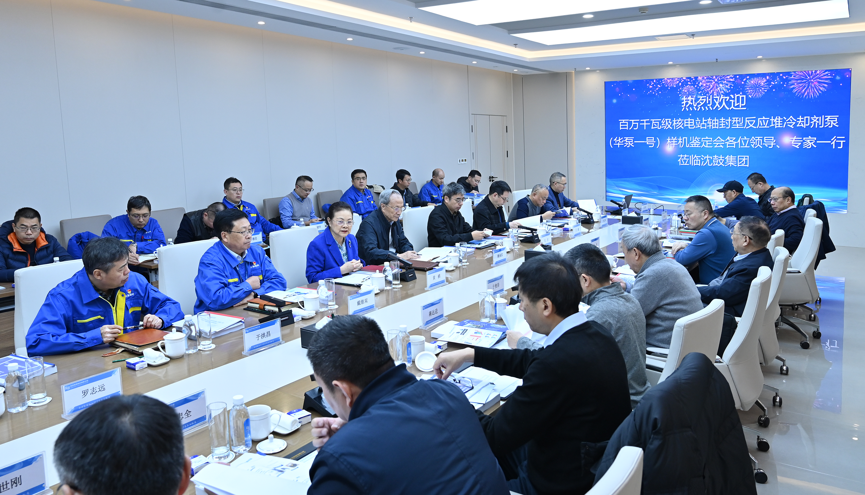  experts and representatives